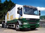 DAF LF55 4x2 FA Day Cab 2006 года